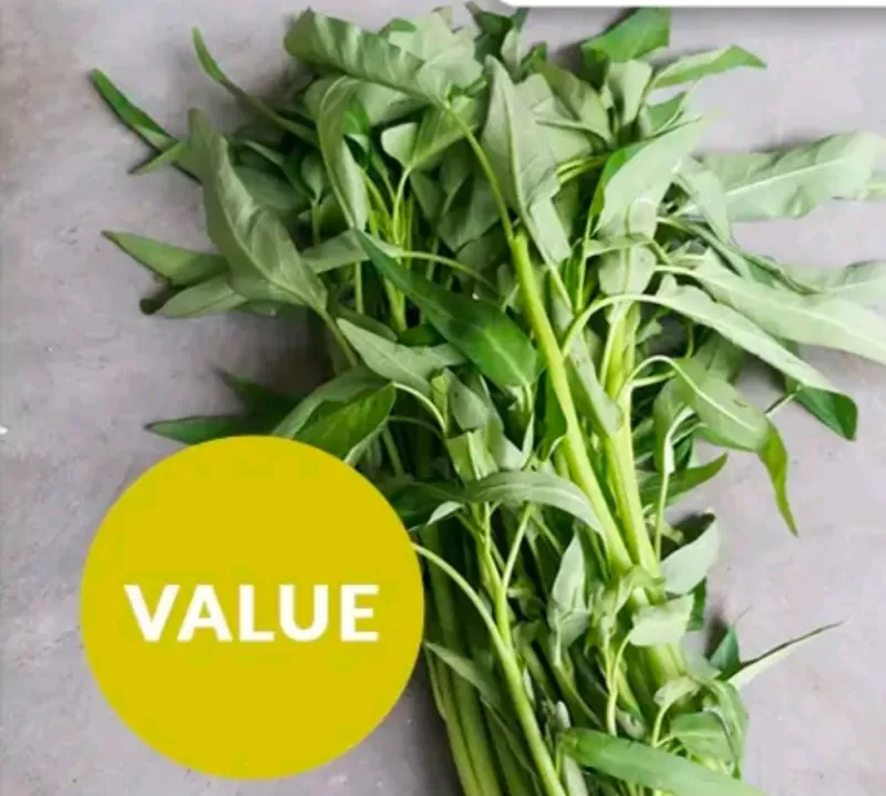 Kangkung 250gr sayur box